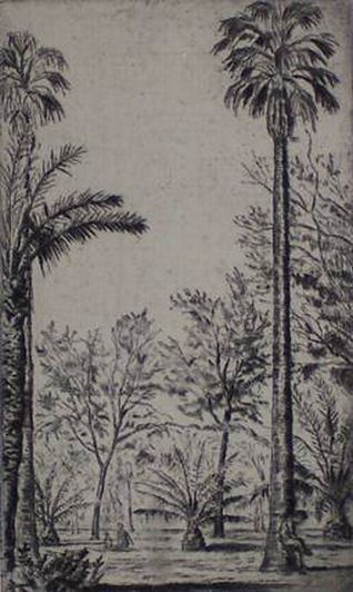 Print: "Park in Tucson" by Chester Leich, circa 1945