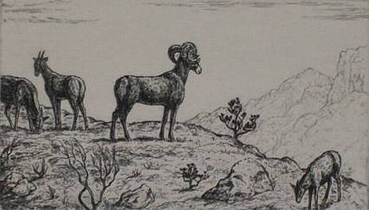 Print: "Mountain Sheep" by Chester Leich