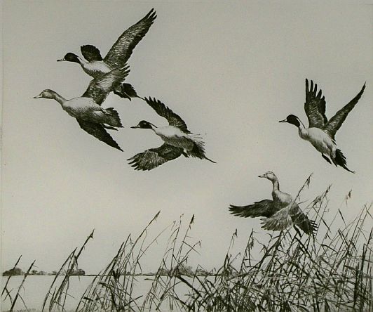 Print: "On their Way" by Richard E. Bishop