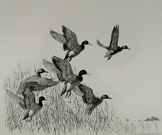 Print: "Up and Out" by Richard E. Bishop