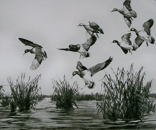 Print: "Safe Return" by Richard E. Bishop