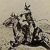 Print: "Her Calf" by Edward Borein