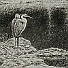 Print: "The Pool" by Kerr Eby