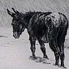 Print: "Lost" by John A. MacWhirter