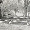 Print: "Summer Morning" by Stow Wengenroth