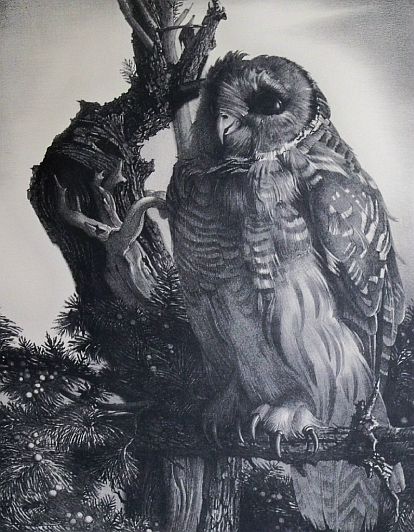 Print: "The Sage" by Stow Wengenroth