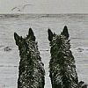 Print: "WE" by Marguerite Kirmse
